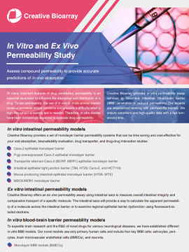 In Vitro and Ex Vivo Permeability Study