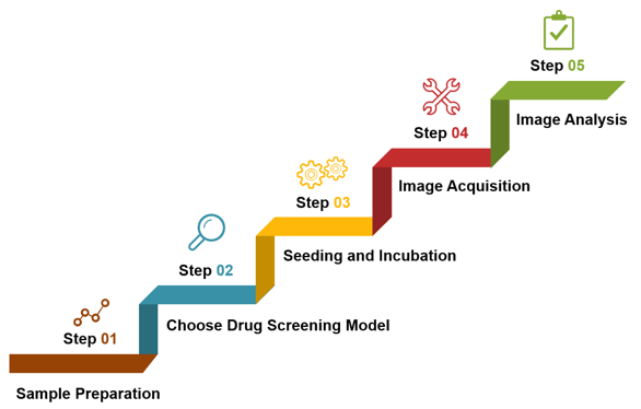Key steps of our high content screening services.