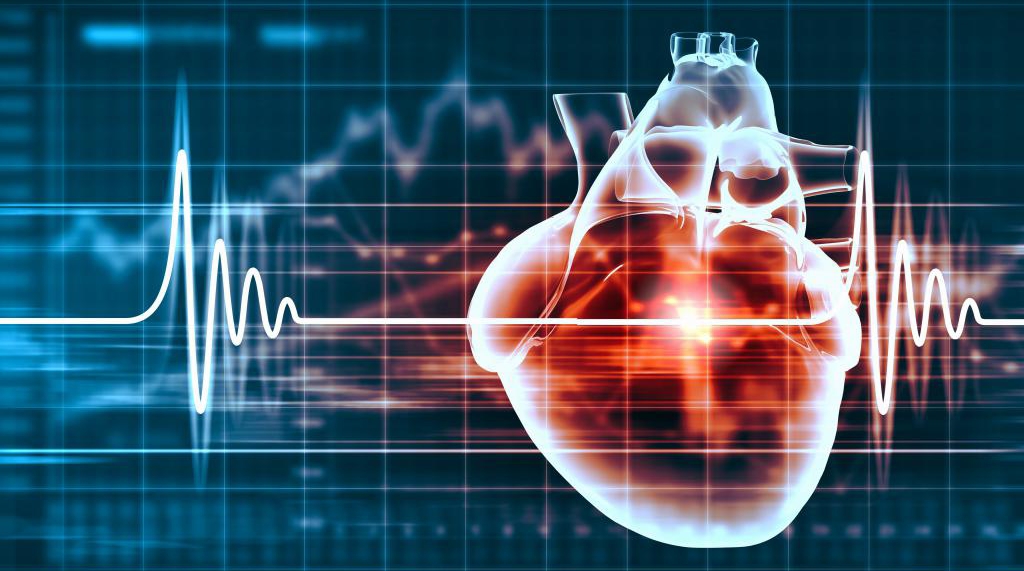 Cardiotoxicity