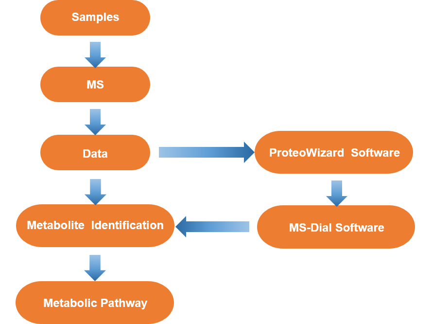 The workflow of metabolite identification