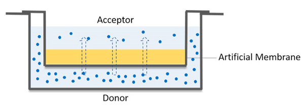 The schematic diagram of PAMPA experimental setup.