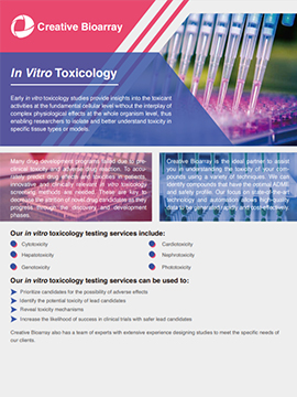 In Vitro Toxicology Testing Services