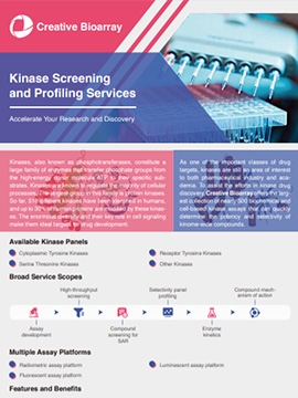 Kinase Screening and Profiling Services