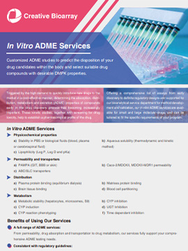 In Vitro ADME Services