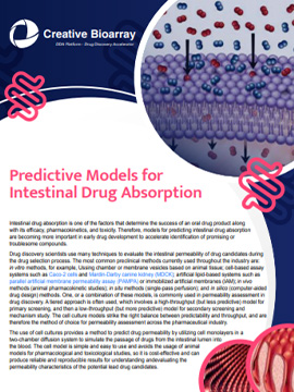 Predictive Models for Intestinal Drug Absorption