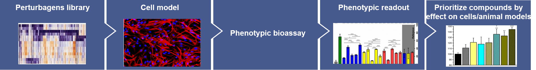 phenotypic screening